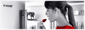 Ataköy Arçelik Buzdolabı Servisi